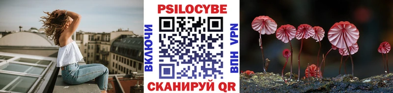 Купить Куйбышев Псилоцибиновые грибы мухоморы